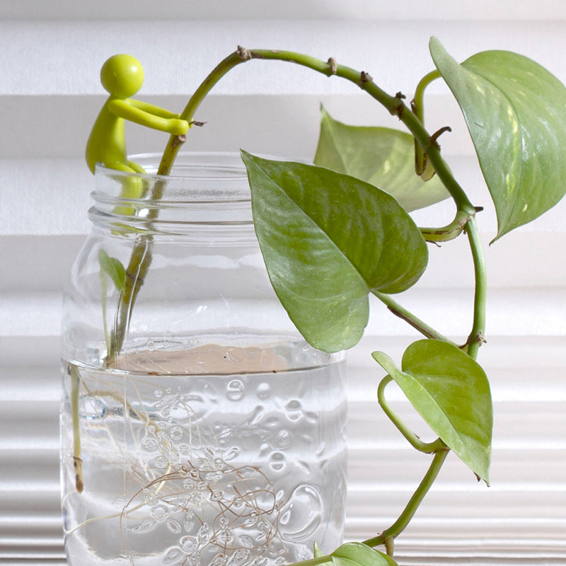 Podpora dekoratívnych a flexibilných odrezkov pre rastliny (x3) 