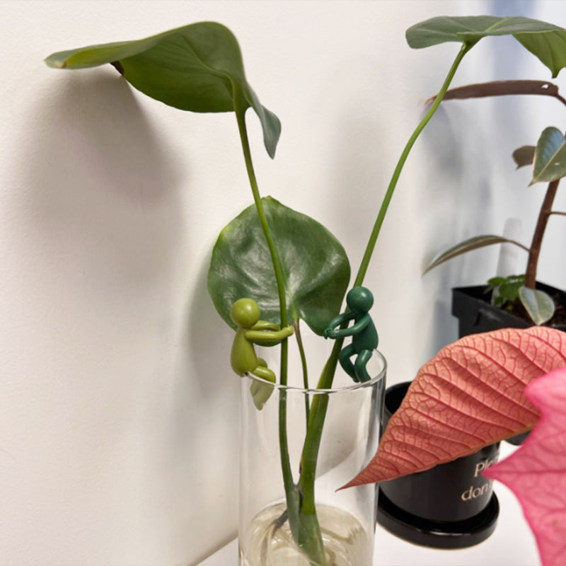 Podpora dekoratívnych a flexibilných odrezkov pre rastliny (x3) 