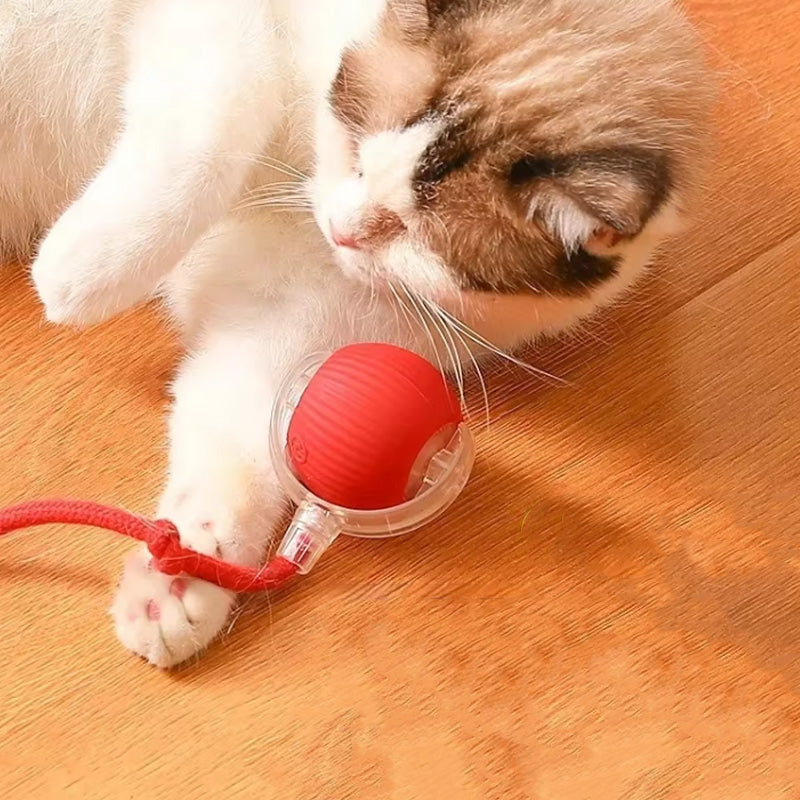 アクティブで好奇心旺盛な猫のためのバウンスおもちゃ 