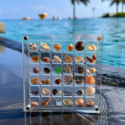 Display your shells with style and safety 
