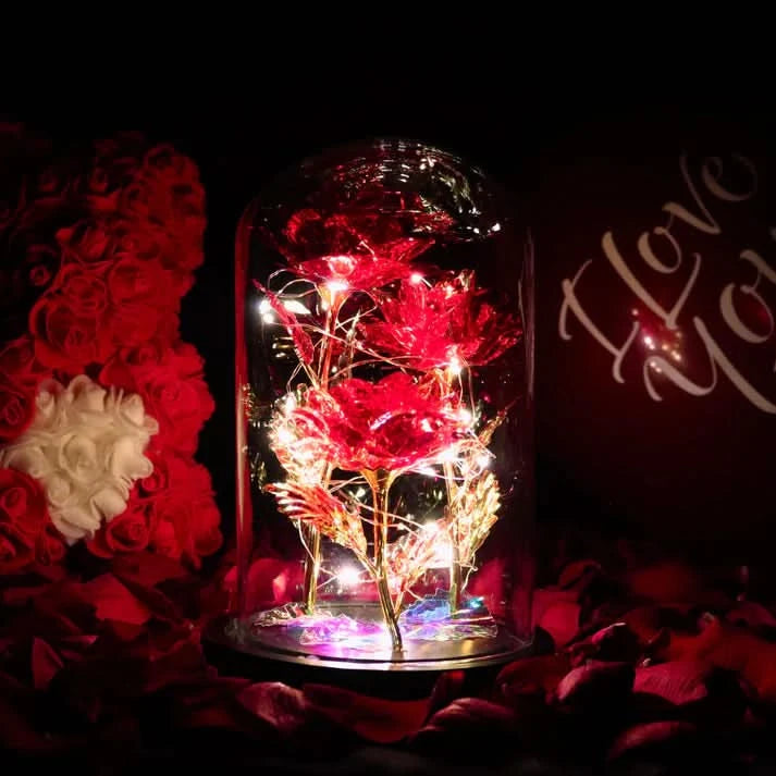 Rosa sob a Campana – Elegância Luminoso e Intemporal 